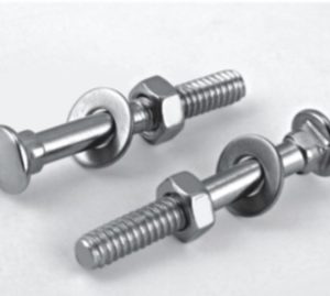 11. S.S CARRIAGE BOLT WITH A NUT AND WASHER(SAS)